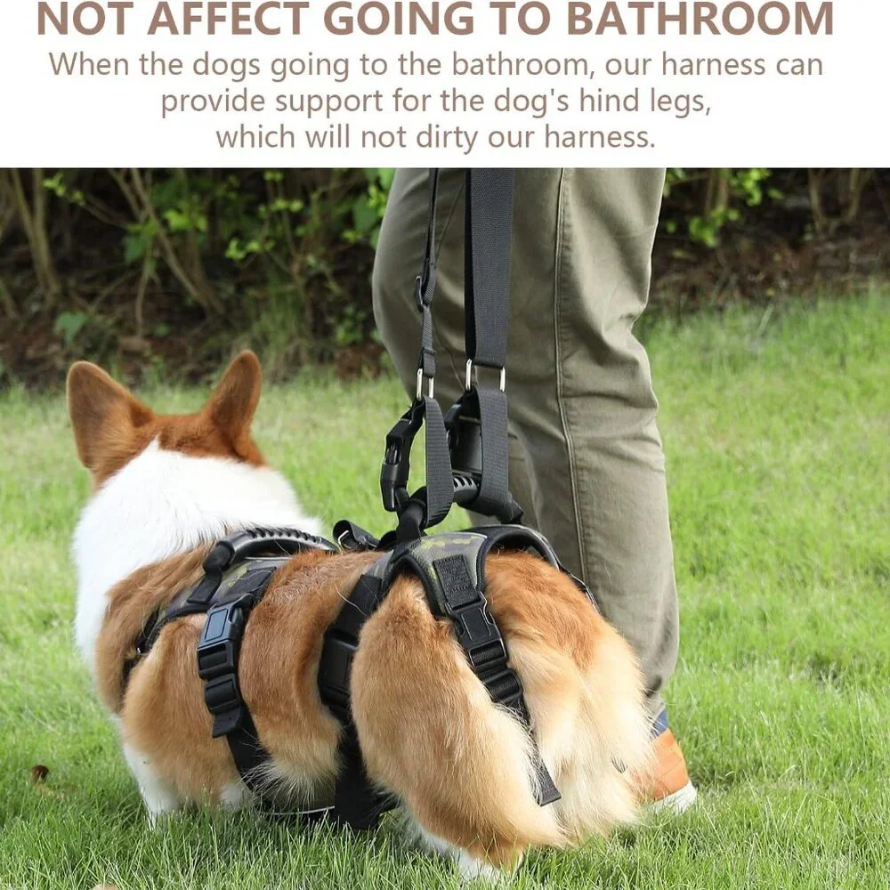 Coodeo Dog Lift Harness, Full Body Support & Recovery Sling